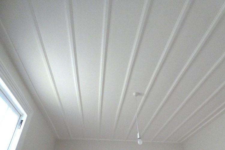 interior ceiling painting takapuna